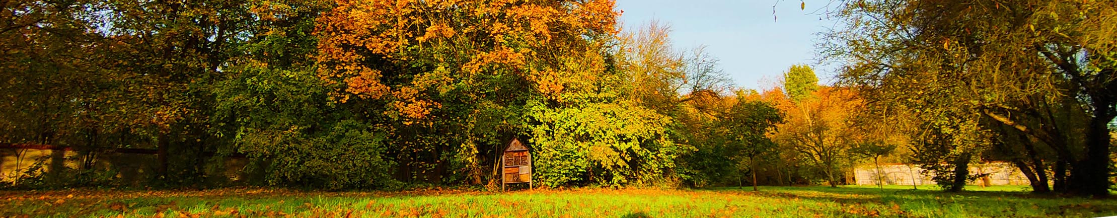 bandeau automne